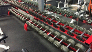 Train4Life