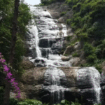 Kodaikanal Trip, Best Tour Packages in India